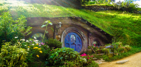 Rex launches a brand new loyalty program