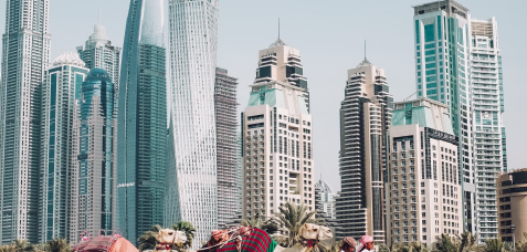 Rex launches a brand new loyalty program